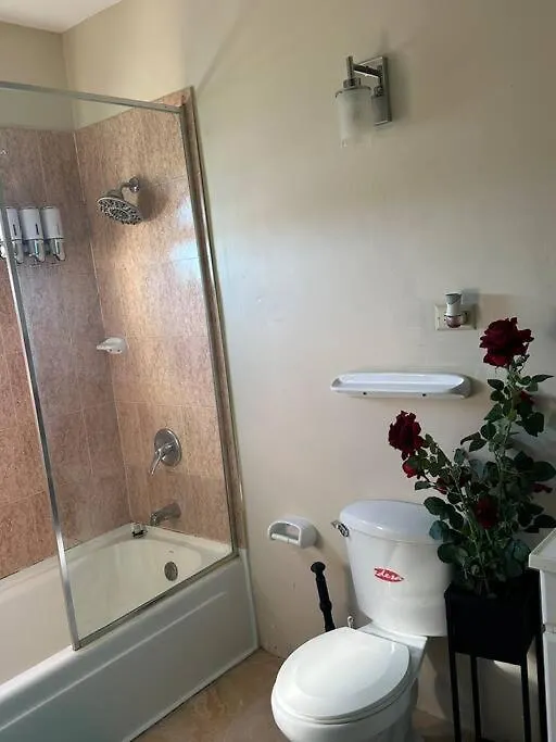 Oxford Manor Comfort Stay- 16 Oxford Rd Kingston 0*,  Jamaica